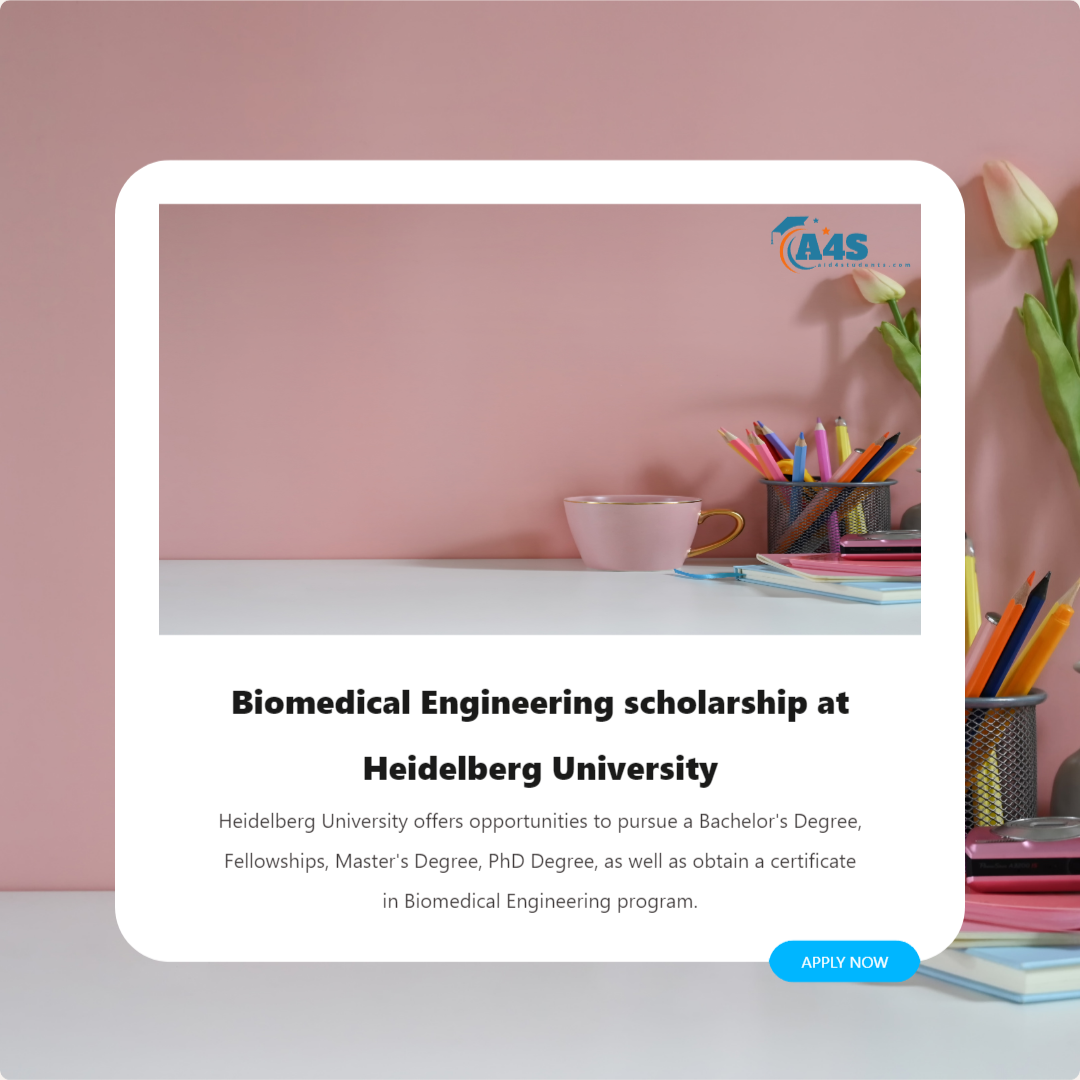 Biomedical Engineering scholarship at Heidelberg University