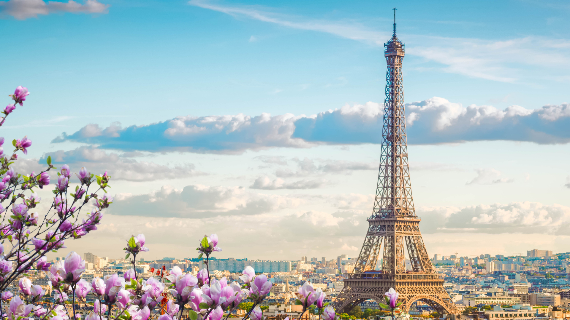 Studying in France | The Ultimate Guide