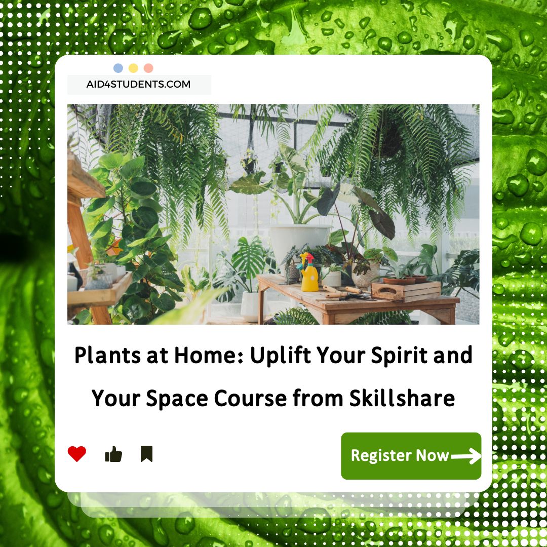 Plants at Home: Uplift Your Spirit and Your Space Course from Skillshare